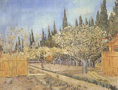 Vincent Van Gogh Orchard in Blossom,Bordered by Cypresses (nn04)